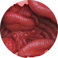 Tongue Fantasy