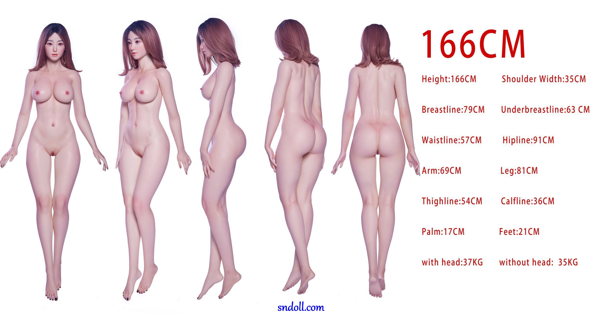 Irontech Doll Nybörjarguide 12 guide-irontech-silikonkropp-166cm