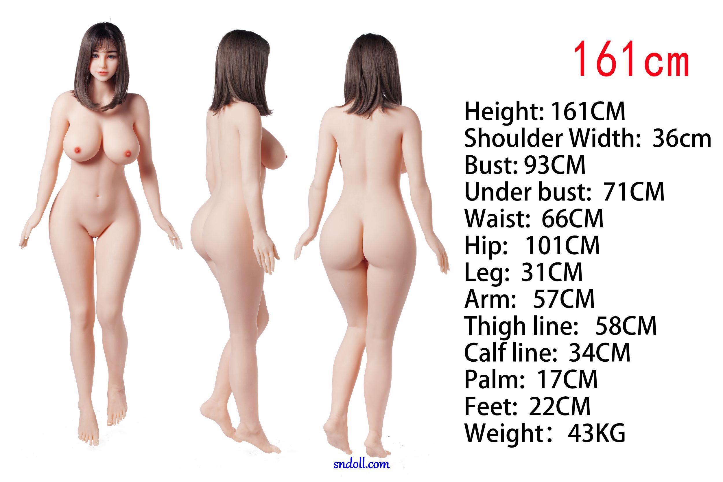 Irontech Doll Nybörjarguide 18 guide-irontech-tpe-body-161cm