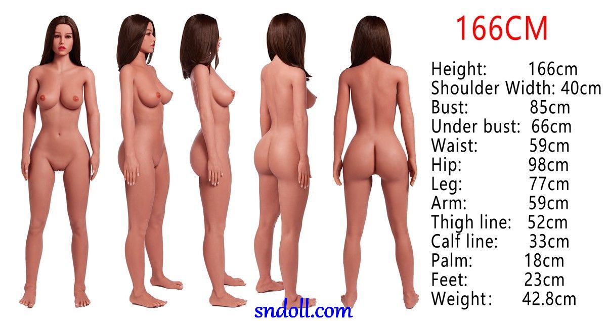 Irontech Doll Nybörjarguide 24 guide-irontech-tpe-body-166cm