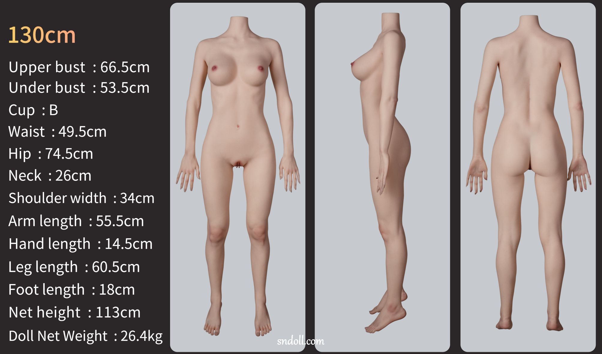 guide-zelex-body-zg130b