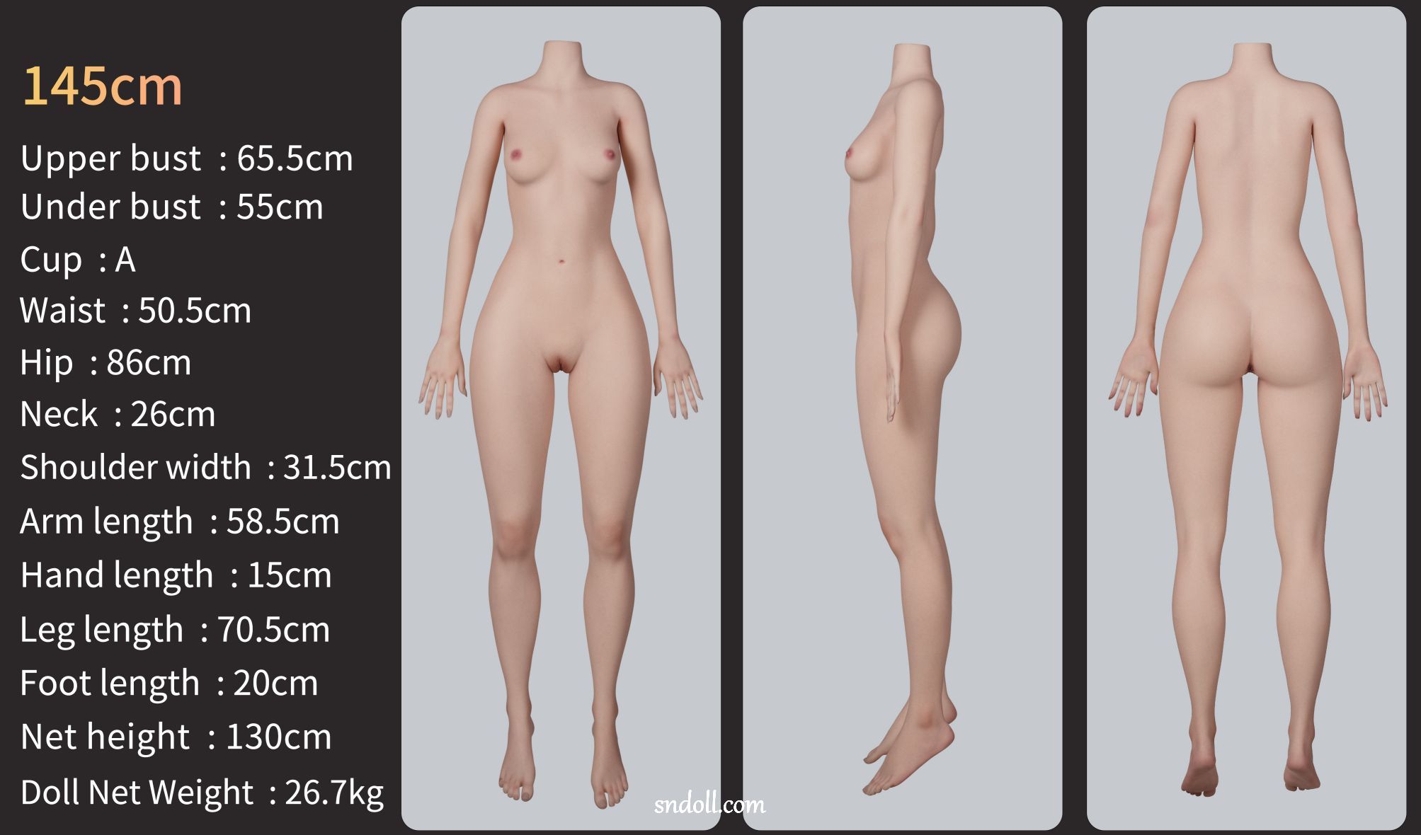 guide-zelex-body-zg145a