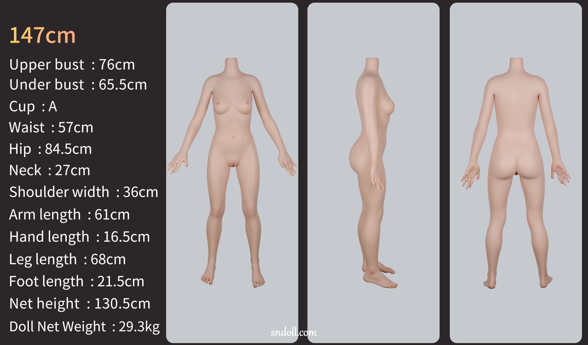 guide-zelex-body-zg147a