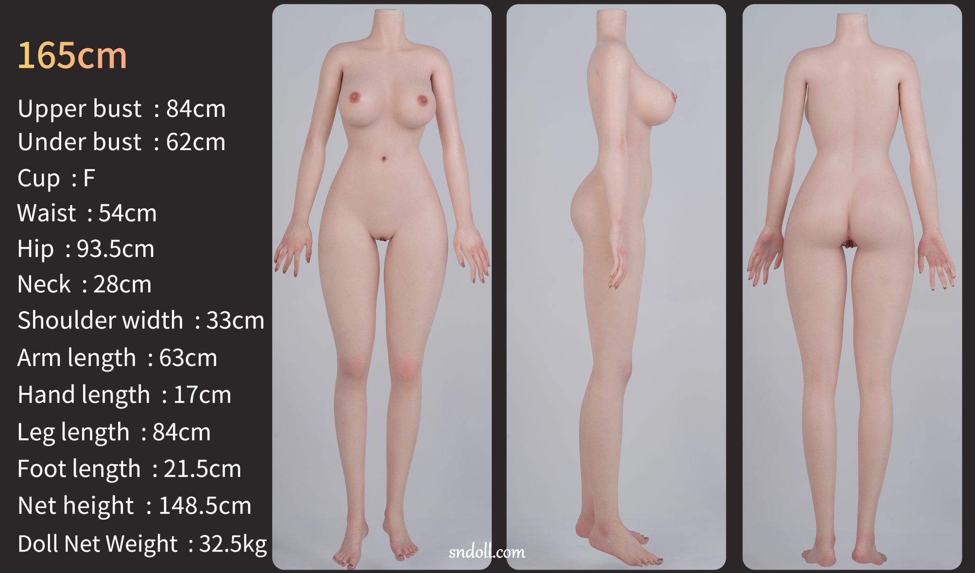 guide-zelex-body-zg165f
