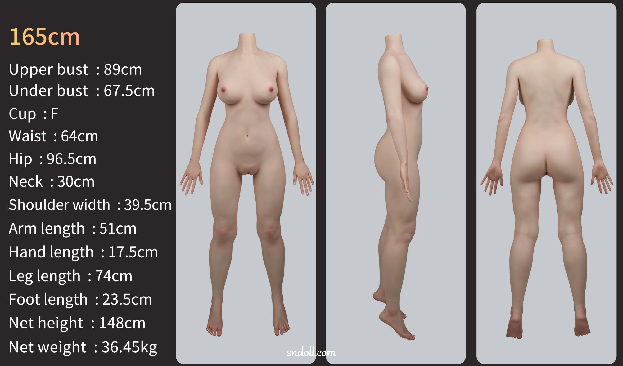 guide-zelex-body-zgx165f