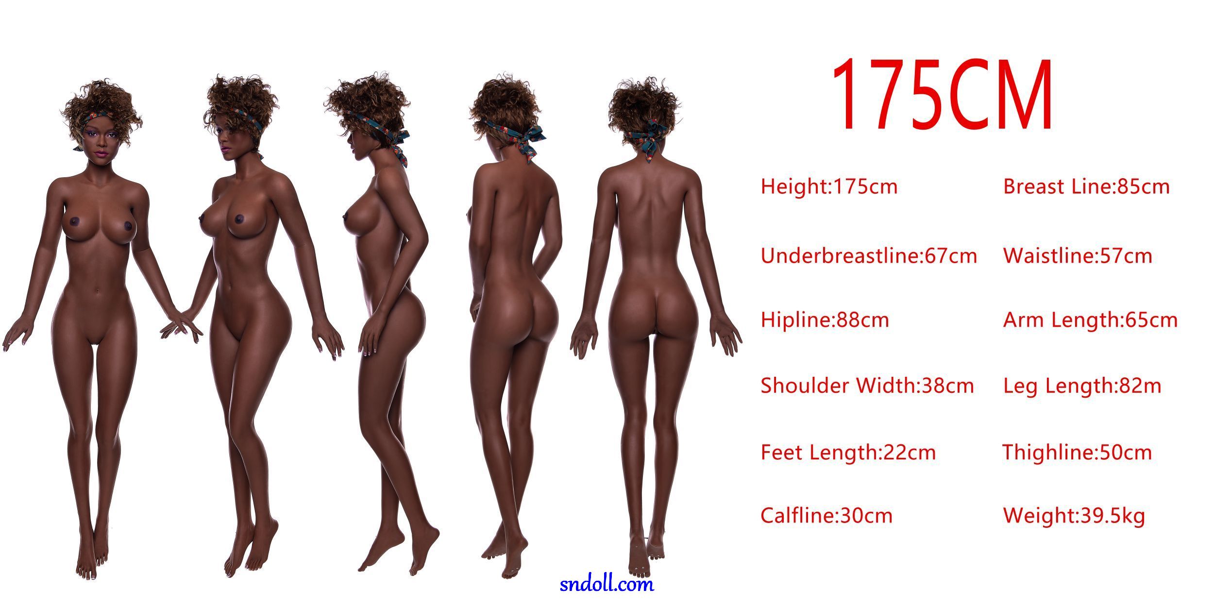guide-irontech-tpe-body-175cm